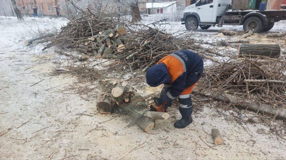 � ������ ��� ��������. ������������� ��������� ����������� �������� ��������� ��������� ��� ����������� ������ �� ���������� ��������� ����