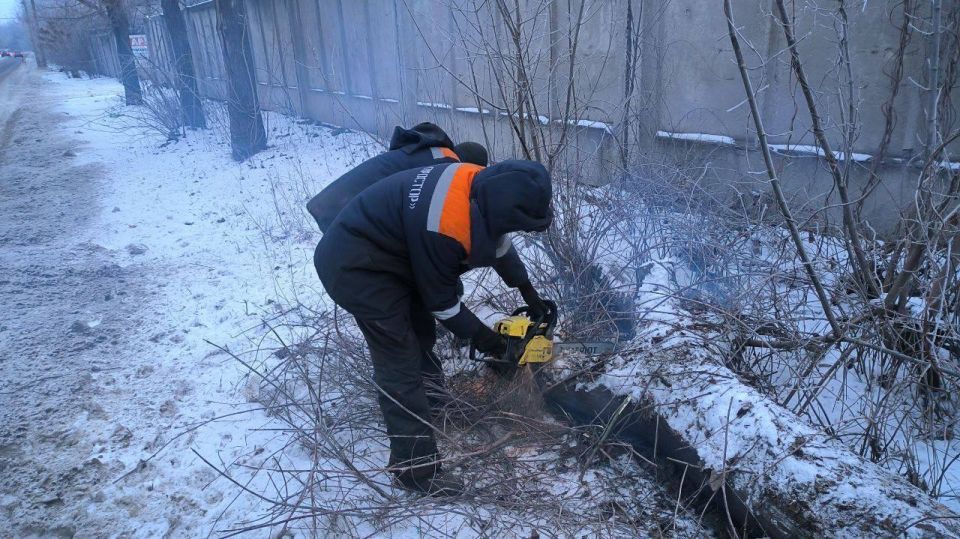 � ������ ��� ��������. ������������� ��������� ����������� �������� ��������� ��������� ��� ����������� ������ �� ���������� ��������� ����