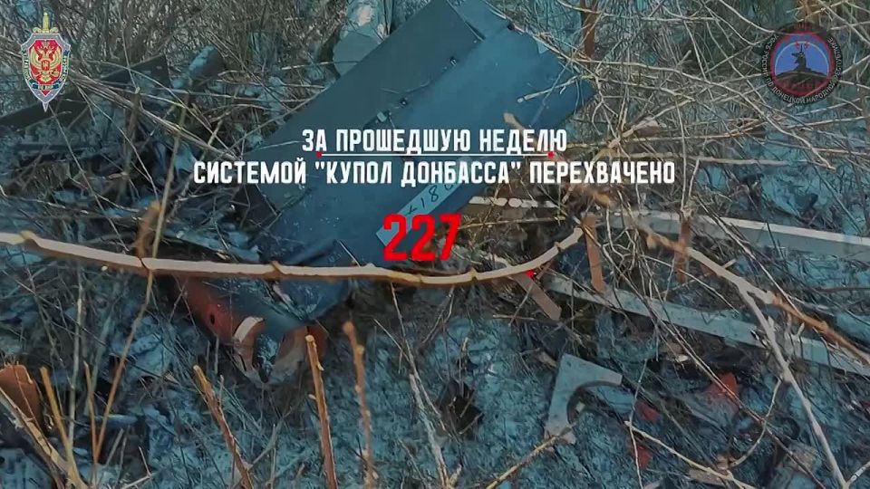 ����� �������� ������������ 237 ���� ���������� ����