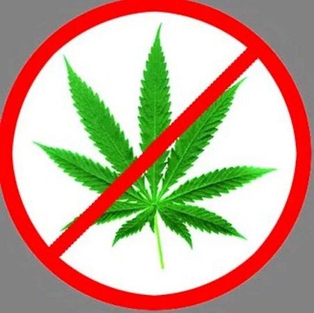 О мерах по выявлению и уничтожению незаконных посевов, очагов произрастания дикорастущих наркосодержащих растений на территории городского округа Горловка