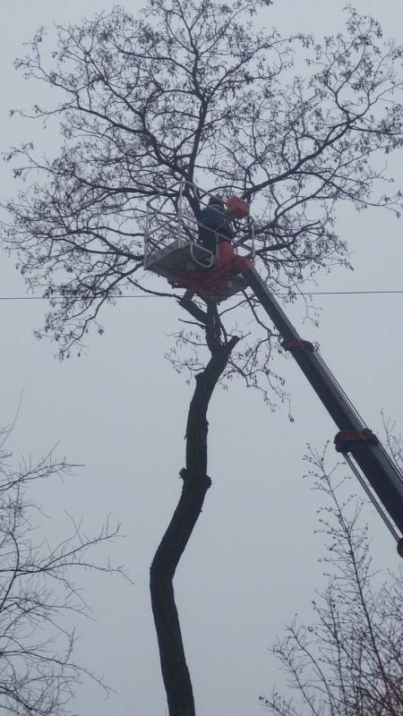 МУП «Простор» ежедневно выполняет все необходимые работы по содержанию городских улиц