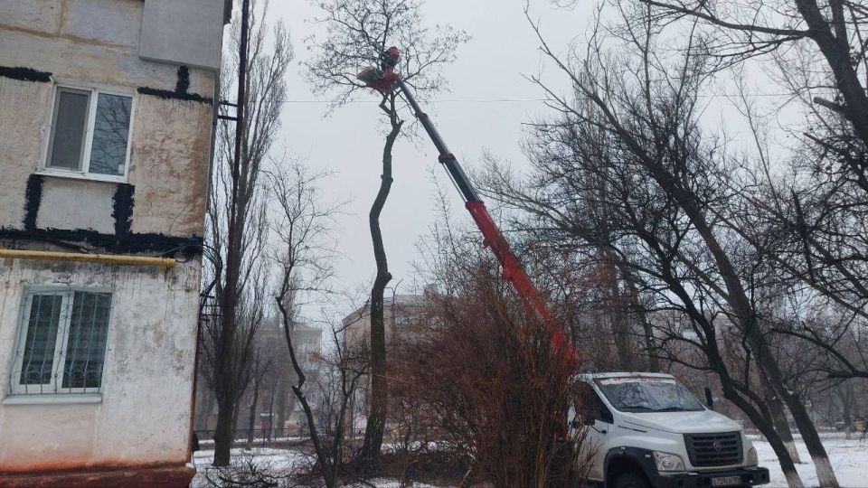 ����� �����: ������������� ��������� ����������� �������л ������������� ���������� ������ �������� �������� �������� ����������