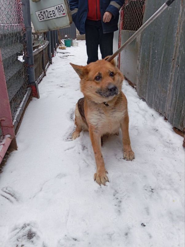 ����� �����: ������������� ��������� ����������� �������л ������������� ���������� ������ �������� �������� �������� ����������