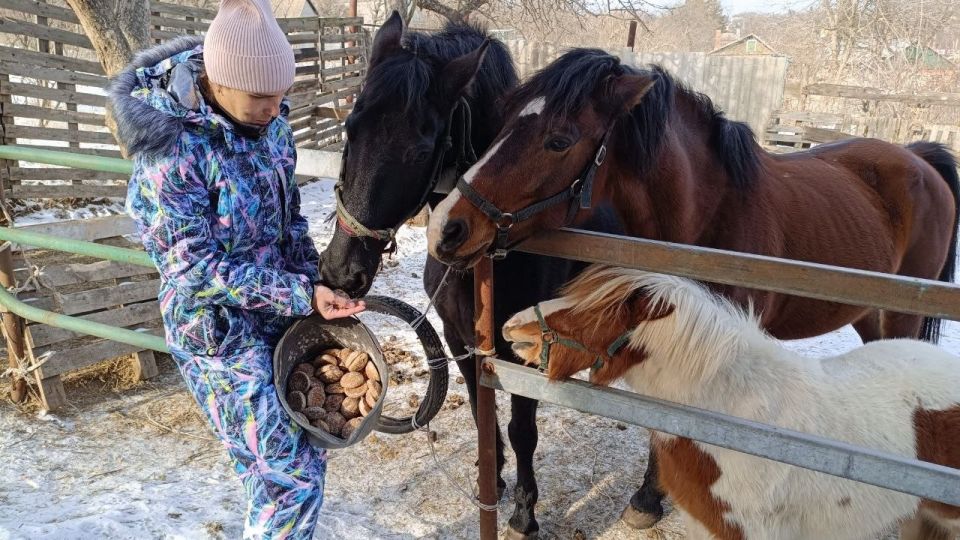 ������ ��������� ���� � ����������� ������ ��������