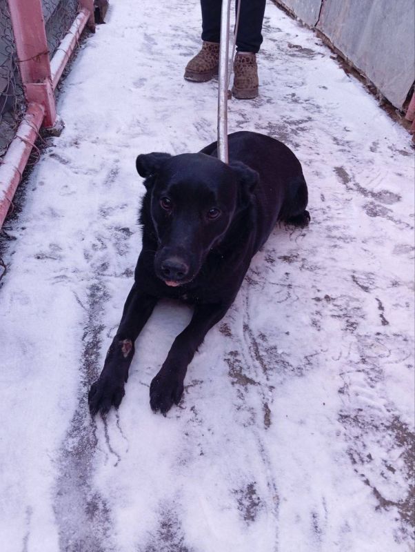 ����� �����: ������������� ��������� ����������� �������л ������������� ���������� ������ �������� �������� �������� ����������