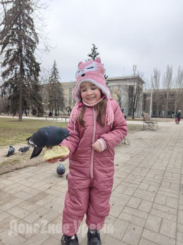 ��������, ��������: ����������� ������� ����������, ������ ������ ������������� �������