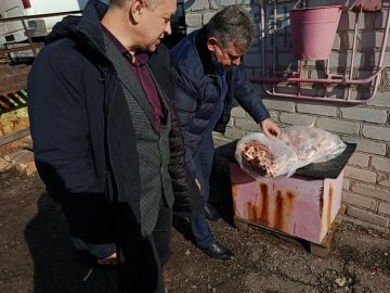 Иван Приходько: В Горловке активно реализуется проект Единой России «Защита животного мира»