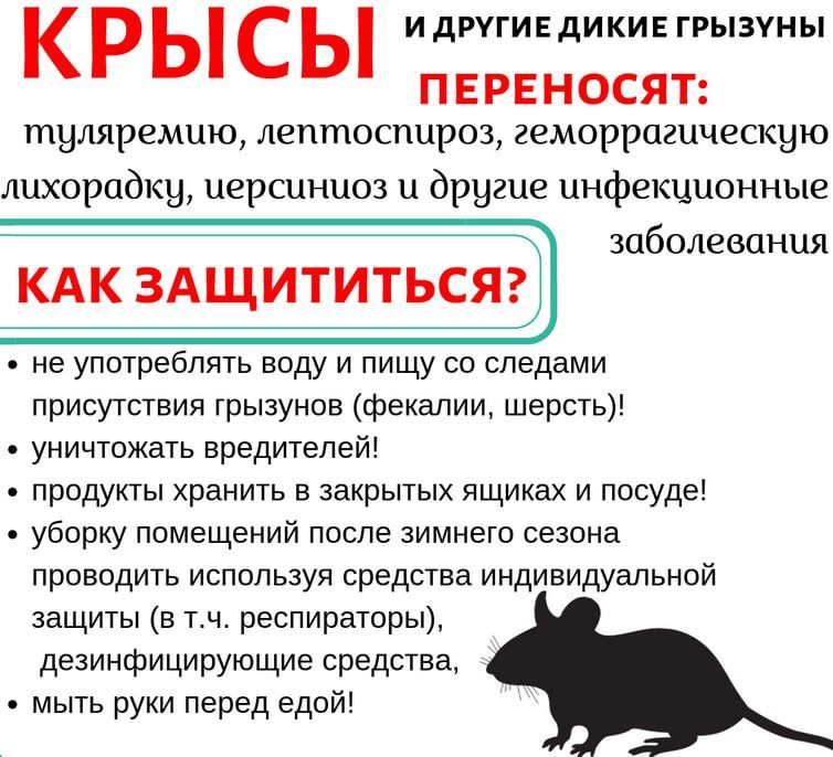 ������������ �����������, ������������ ���������