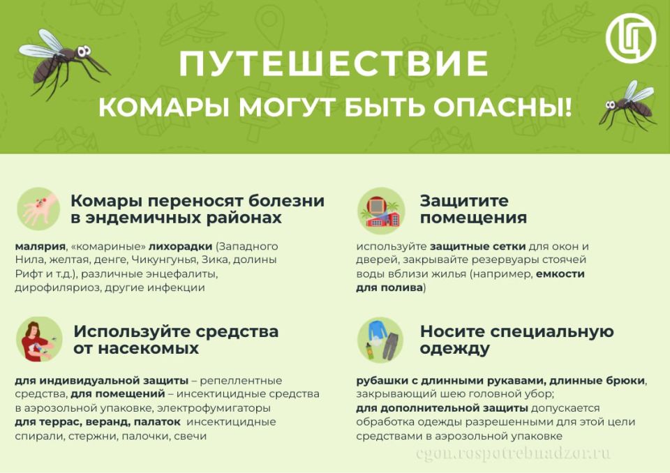 Профилактика инфекций, передающихся комарами
