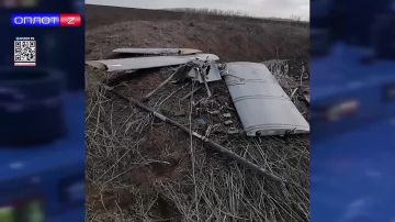 ������������ ������� ������ ���������� ����������� ��������� ������������ ����������� ������������ �������