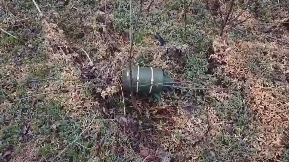 �� ������� �������� ������ ��� ��� ���� ��������� ����, ���������� ����������� � ���� ������� ���