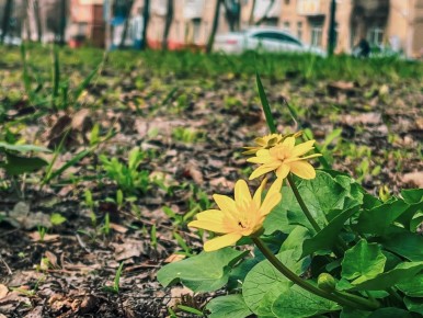 Давай прогуляемся по городу