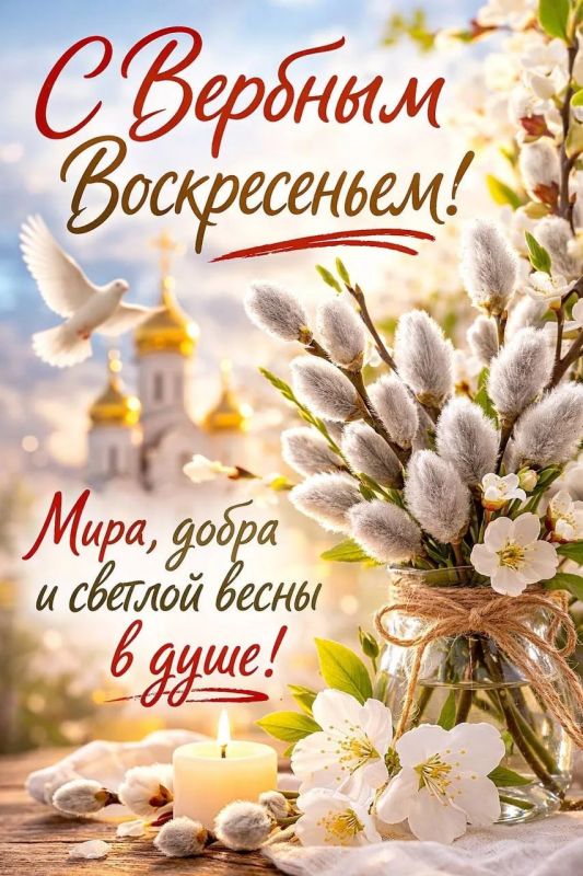 ����� �����: ������� �����������, ��������� ����� ��� ���� ��������� � ���������, � ��� �������� ������������ ��������, ������� �������� ������������, �������� � ������ �����������