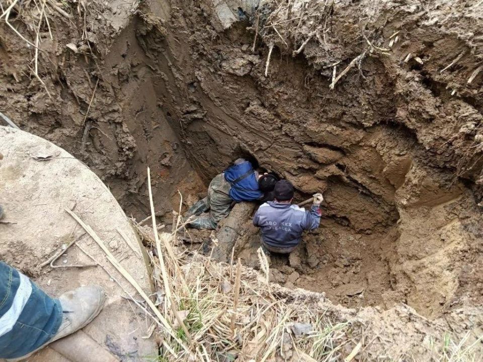 ����������� �� �������� � �������� ������������ ���������� ������ ������ ������������� ������