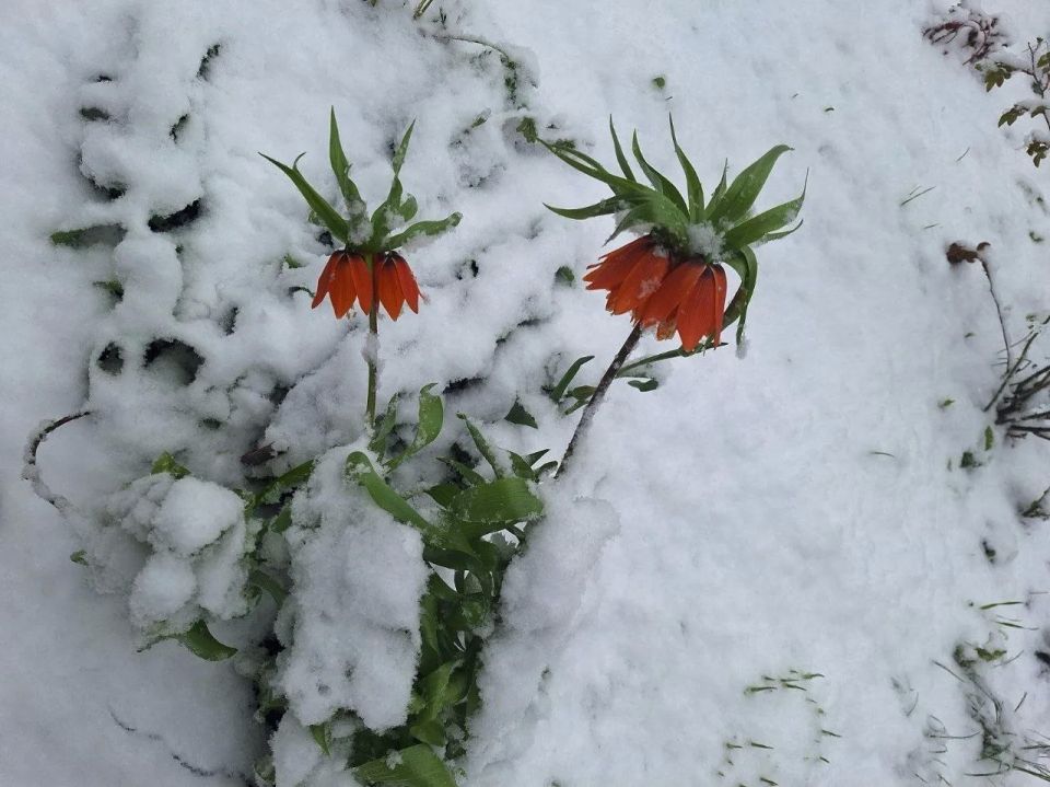 ���, ����� ������, � ������� ����� ��������! � �������� ������� ������ ������ � � ������ ���� ����� ����