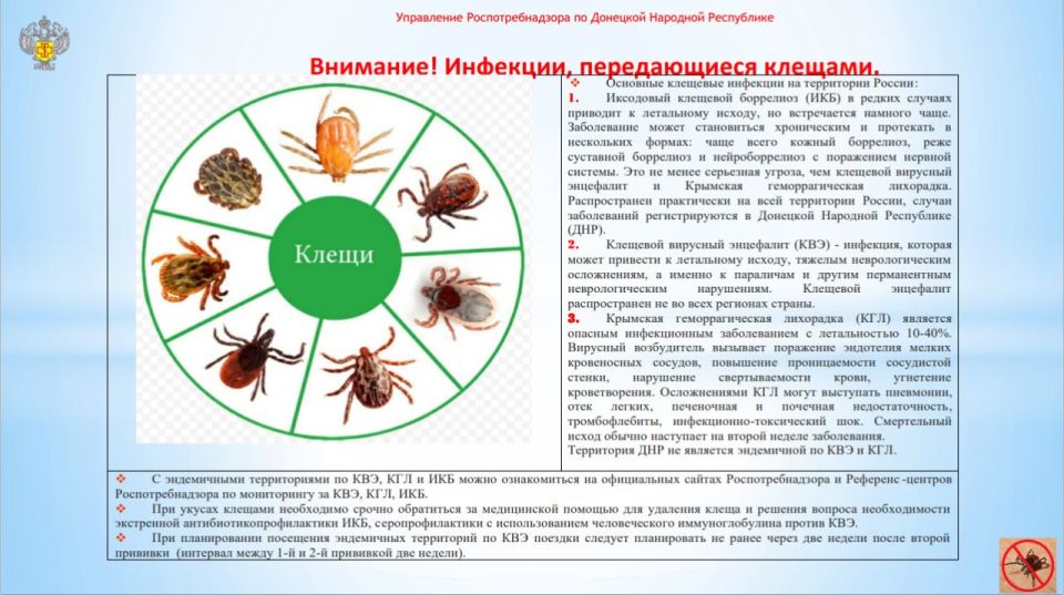 Осторожно, клещи! Осторожно, клещи!