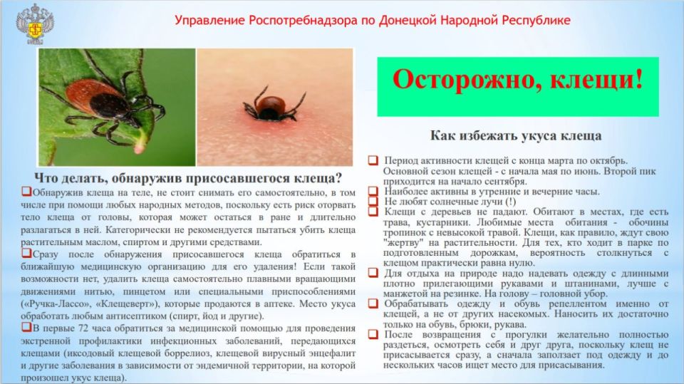 Осторожно, клещи! Осторожно, клещи!