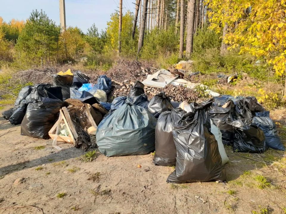 Сотрудники Минприроды ДНР обследуют потенциально опасные объекты накопленного вреда окружающей среде