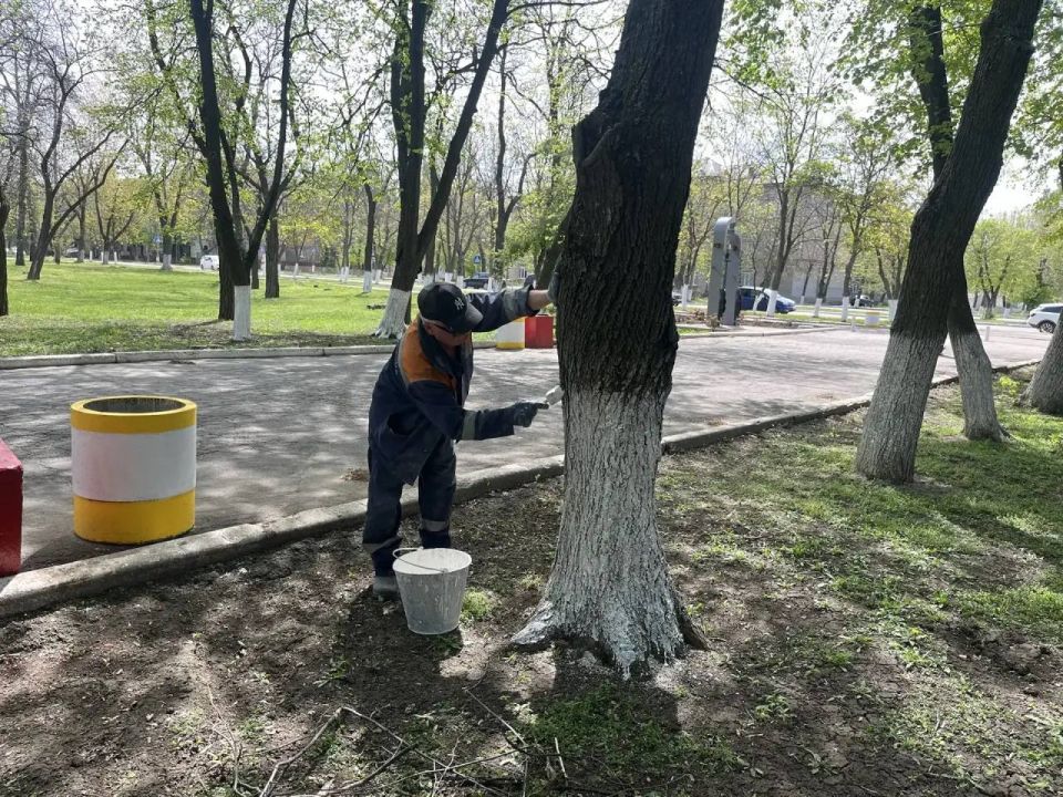О работах МУП «Простор». Муниципальное унитарное предприятие «Простор» ежедневно выполняет все необходимые работы по содержанию городских улиц О работах МУП «Простор». Муниципальное унитарное предприятие «Простор» ежедневно выполняет все необходимые работы по содержанию городских улиц