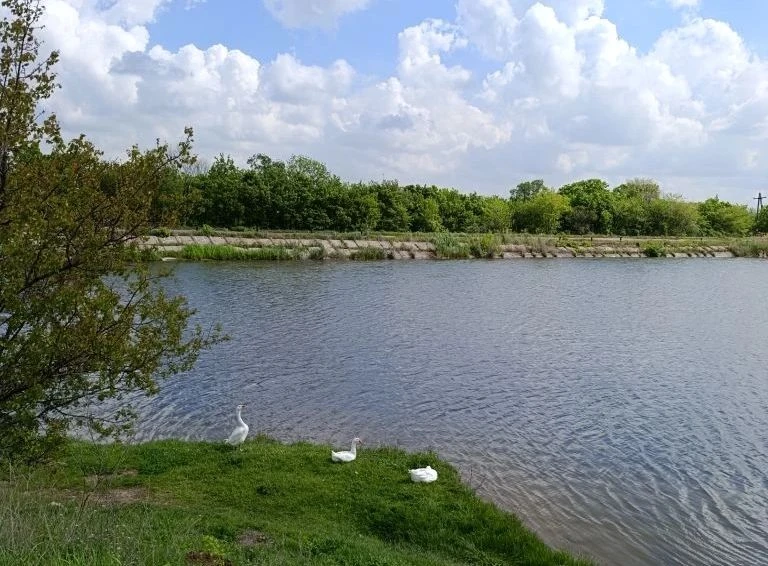 В целях предупреждения несчастных случаев на водоемах Управа Калининского внутригородского района города Горловка напоминает о том, что в связи с отсутствием на территории города водных объектов, пригодных для купания -... В целях предупреждения несчастных случаев на водоемах Управа Калининского внутригородского района города Горловка напоминает о том, что в связи с отсутствием на территории города водных объектов, пригодных для купания -...
