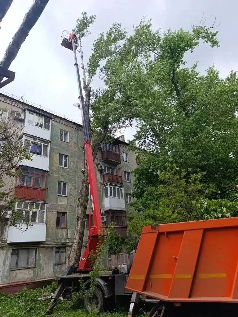 МУП «Простор» ежедневно выполняет все необходимые работы по содержанию городских улиц МУП «Простор» ежедневно выполняет все необходимые работы по содержанию городских улиц
