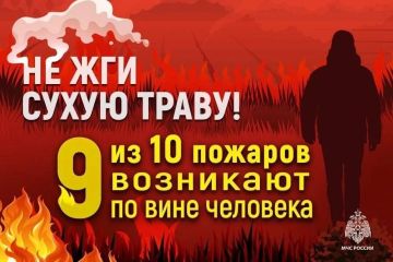 Роман Конев: Опасность весенних палов: как избежать трагедии