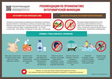 7 ключевых правил профилактики энтеровирусной инфекции