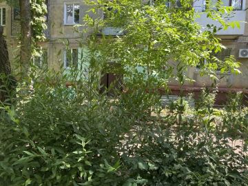 Шаги маленькие – добро большое: акция в поддержку пожилых людей в Горловке
