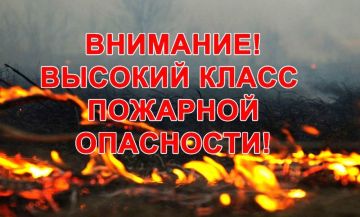 Роман Конев: Берегите природу от огня!. 24 июля 2026 года в ДНР ожидается высокая пожароопасность (4-й класс)