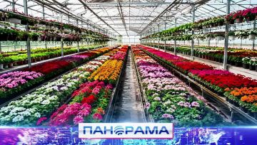 ����� ���������� ������: �������� � ���� �������� ������� ��������� ����������