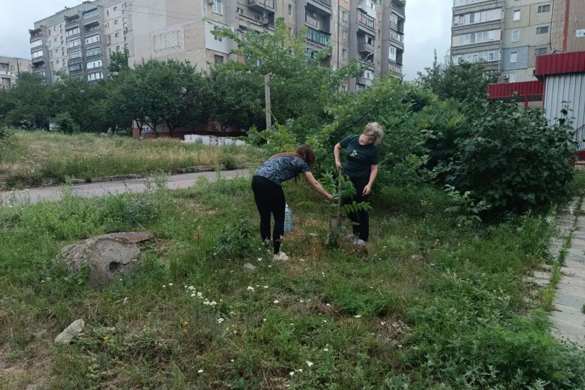 Дворы Горловки преображаются: высажены новые деревья и кустарники Дворы Горловки преображаются: высажены новые деревья и кустарники