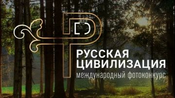 Тысячи взглядов. Миллионы историй