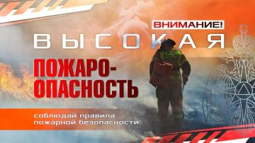 Роман Конев: С 7 по 9 августа 2026 года на территории ДНР прогнозируется 4-й класс пожарной опасности