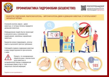 Территориальный отдел Управления Роспотребнадзора по Донецкой Народной Республике в городе Горловка и Артемовском районе НАПОМИНАЕТ о ПРОФИЛАКТИКЕ БЕШЕНСТВА