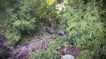 Дрон "Батон", которым украинские террористы пытались ударить по образовательному учреждению в Горловке