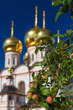 Руководитель Управы Калининского внутригородского района города Горловка Елена Васильевна Матенчук поздравляет с праздником Преображения Господня, также именуемым Яблочным спасом