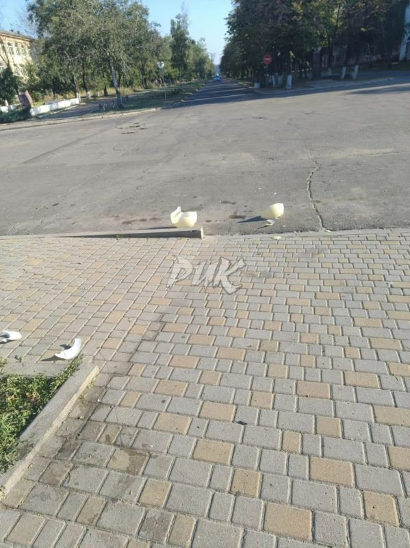 Роман Конев: К сожалению, наш город снова пострадал от рук хулиганов Роман Конев: К сожалению, наш город снова пострадал от рук хулиганов