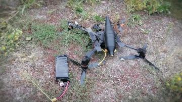 ���������� FPV-����, ������ �������� ������ ������ �������� ����������� � ��������